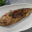 남도마실 Daum카페