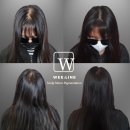 위라인(WEE:LINE) 티스토리