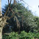 완도21호 이미지