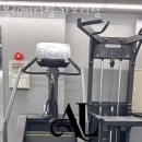 올레이디짐 가오리점 이미지