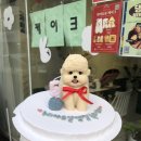 메이드알콩
