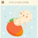 클라라 주미 강 & 알레시오 백스 듀오 리사이틀 이미지