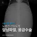 배박사 동물병원 이미지