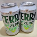 테라월드(TERRA WORLD) | 편의점 신상 무알콜맥주 추천 테라 제로 내돈내산 솔직후기 (엽떡 꿀조합)
