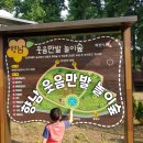 우두근린공원 | 경기도 화성 아이와 가볼만한 곳ㅡ상신도시숲'향남웃음만발놀이숲'