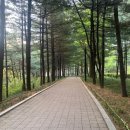산재장애인협회 무료경로식당 | [서대문] 독립문역 주차장, 가볼만한 곳, 맛집, 인왕산 코스