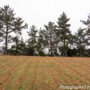 구지농장 이미지