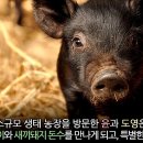 영화축산 이미지