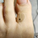 만종대형약국 | 강원도 원주시 약국 List 추천 6곳, 열린 약국, 토요일, 일요일, 공휴일, 심야