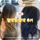 송절동미용실 리븐헤어 서인디자이너 염색 후기