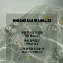 대구 장판 전문업체 추천과 시공 후기 (cm 24741)