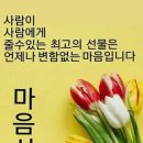 김해커먼레일 이미지