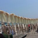 올레풍차 이미지