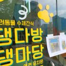 댕다방 이미지