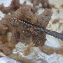 낙성대역 맛집 추천｜40년 된 기사식당 낙성기사식당 솔직 후기