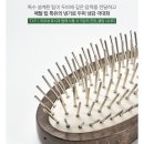 [26 W27] 넷플릭스 프렌즈, 장마 전 수박, 시저샐러드와 초코바게트, 여름체리, 듀오링고와 스쿼시 시작