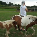 함열 농장 이미지