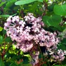 위례삼성정신건강의학과의원 이미지