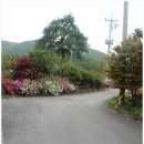 구마2길 이미지