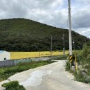 수수상라 이미지