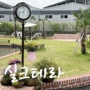 진주 문산 실크테라 신상 베이커리 대형카페