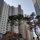 서운로 178 이미지