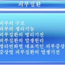경희피레토한의원 이미지