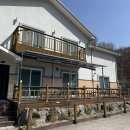 쉼마루 | 대전 근교 펜션 논산 대둔산 쉼마루펜션 수선화 1박 후기 (ft. 탁구장)