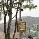 상아어린이공원 | 3월 에버랜드 워킹사파리(대기시간, 후기 포함)ㅣ튤립축제🌷