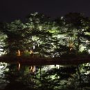 그린달빛 이미지