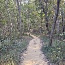 황방산 맨발걷기 이미지