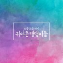 컴페니언 도그 이미지