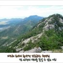 제291차 정기산행 전남 신안 비금도 선왕산(255m),그림산(226m) *다도해와 암릉의 조화가 최고인 비경 /* 산행공지 2017.05.14. 02:00출발 이미지