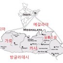 카시족, 가로족 mt dna 와 경상도 mt dna 연관성을 구합니다.(수정) 이미지