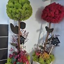 세븐일레븐(거창상림중앙점) | 여기가 바로 힙스터 성지! 다산미용실 에이바헤어 후기