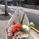 레나플로라