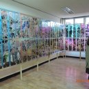 울산시립미술관 이미지