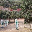 장천재체육공원 이미지