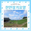 천안세인트요양병원 | 천안장기요양을 통해 부모님 돌봄의 방향이 분명해졌어요!