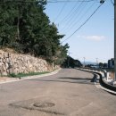 제지기오름 이미지