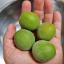 장용농장 이미지