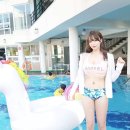 섹시코코 이미지