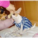 엄마의생활 이미지