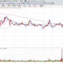 개미종합상사 이미지