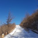 제154회 : 20.2.9.(일) 정기산행 강원 정선 함백산[咸白山] 1573m 이미지