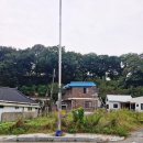 화순고인돌전통시장(읍사무소) 이미지