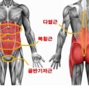 문스하우스