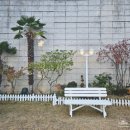 편한대로 | 주차 편한 민락동 대형 베이커리 카페 해그리다, 아기 동반 내돈내산 후기