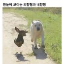 씨유만촌광장점 | Apr_2