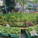 염주골공원 서울구민신문